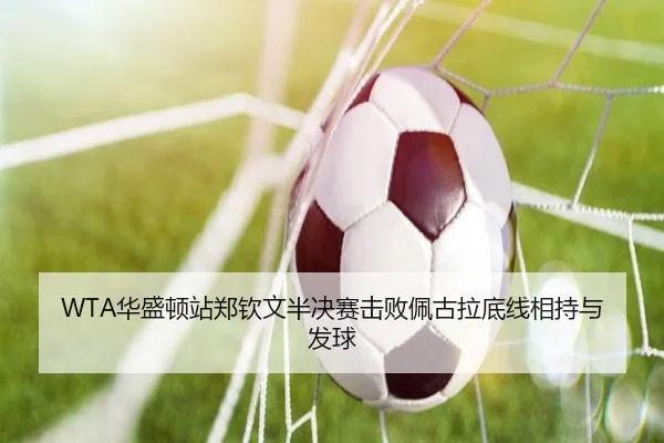 WTA华盛顿站郑钦文半决赛击败佩古拉底线相持与发球